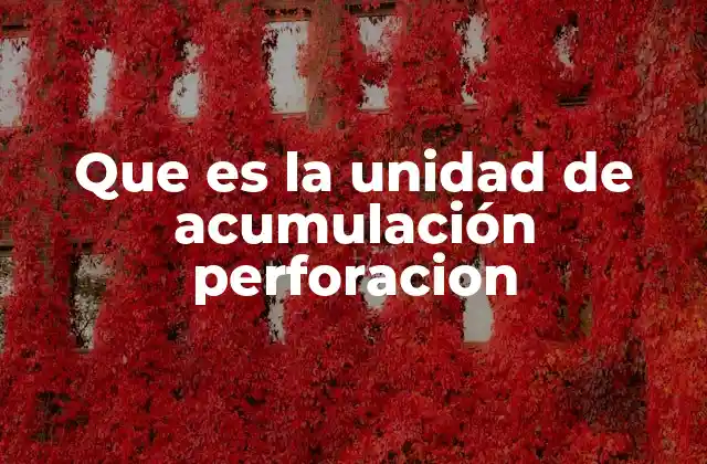 Que es la Unidad de Acumulación Perforacion