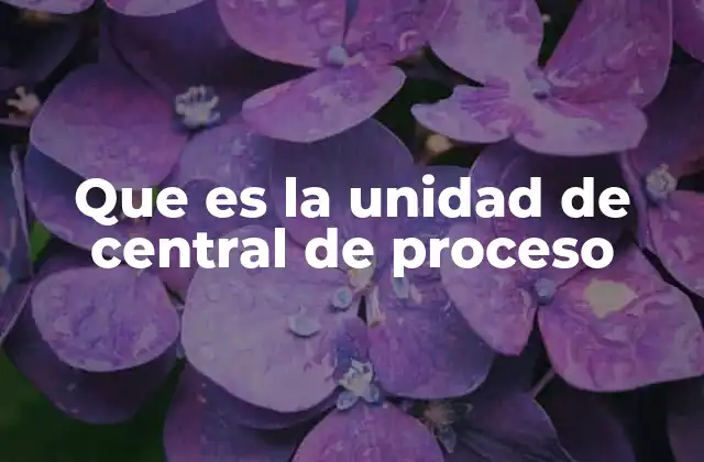 Que es la Unidad de Central de Proceso