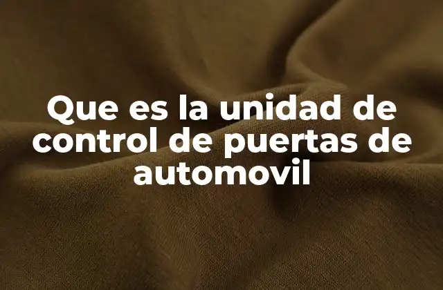 Que es la Unidad de Control de Puertas de Automovil