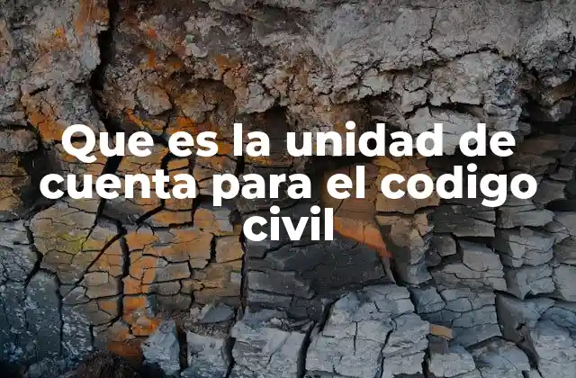 Que es la Unidad de Cuenta para el Codigo Civil