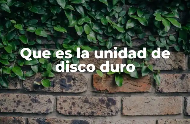 Que es la Unidad de Disco Duro