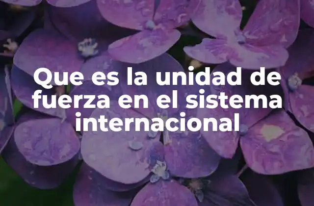 Que es la Unidad de Fuerza en el Sistema Internacional