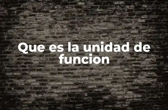 Que es la Unidad de Funcion