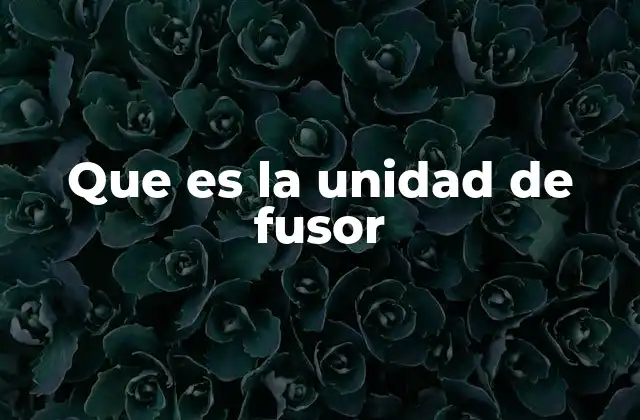 Que es la Unidad de Fusor