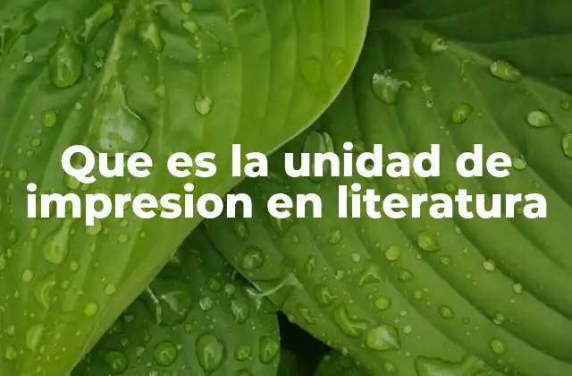 La cohesión narrativa como base de la experiencia literaria