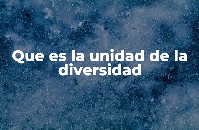 La diversidad como base para la unidad