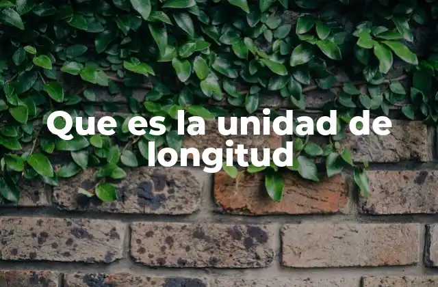 Que es la Unidad de Longitud