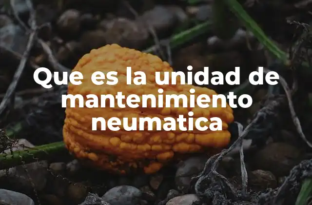 Que es la Unidad de Mantenimiento Neumatica