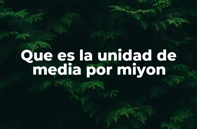 Que es la Unidad de Media por Miyon
