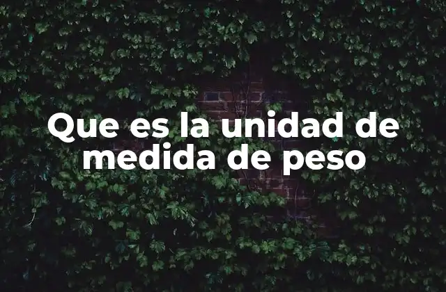 Que es la Unidad de Medida de Peso