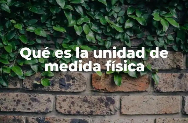 Qué es la Unidad de Medida Física