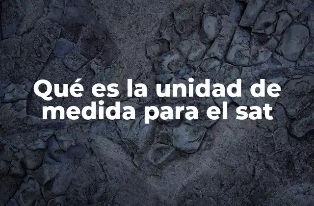 Qué es la Unidad de Medida para el Sat