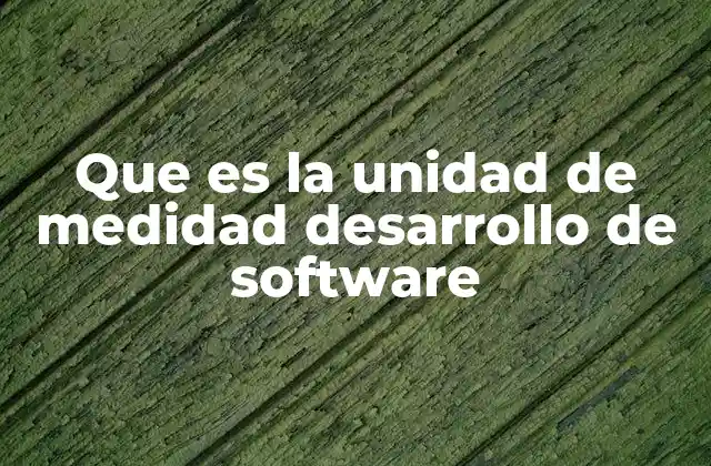 Que es la Unidad de Medidad Desarrollo de Software