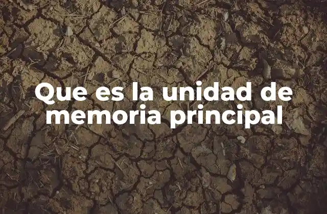 Que es la Unidad de Memoria Principal