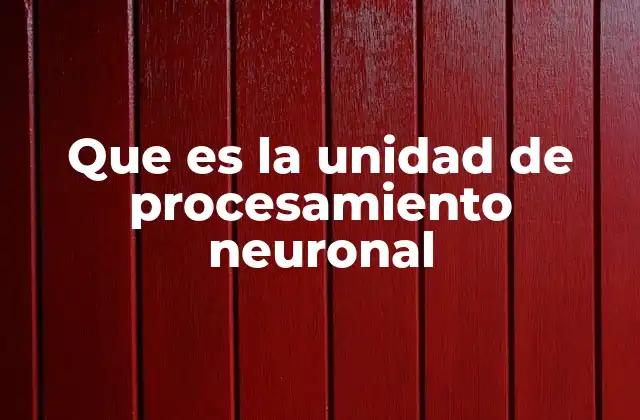 Que es la Unidad de Procesamiento Neuronal