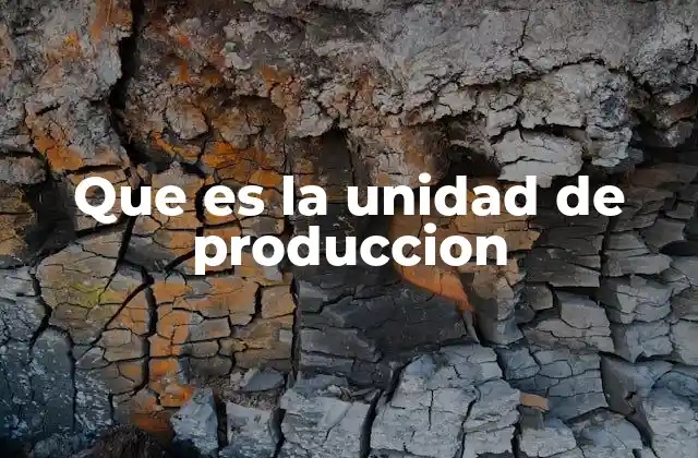 El rol esencial de la unidad de producción en la gestión empresarial