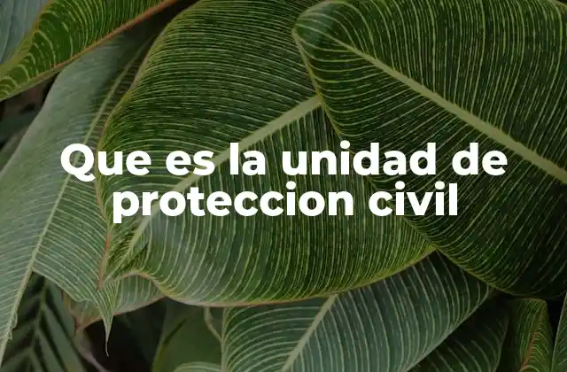 Que es la Unidad de Proteccion Civil