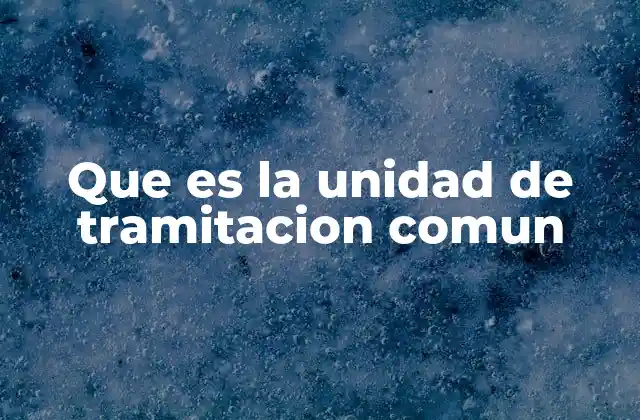 Que es la Unidad de Tramitacion Comun