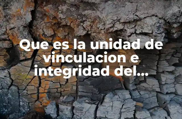 Que es la Unidad de Vinculacion e Integridad Del Aprendizaje