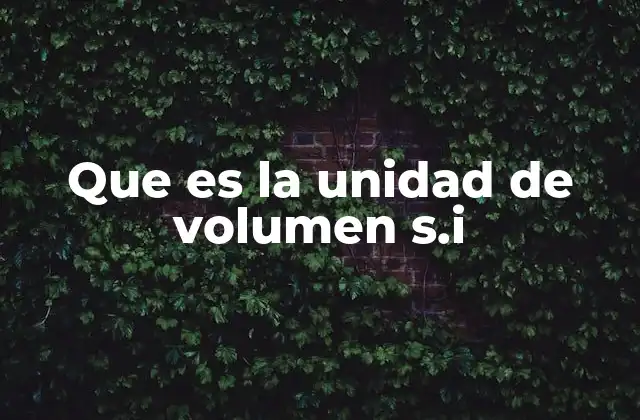 Que es la Unidad de Volumen S.i