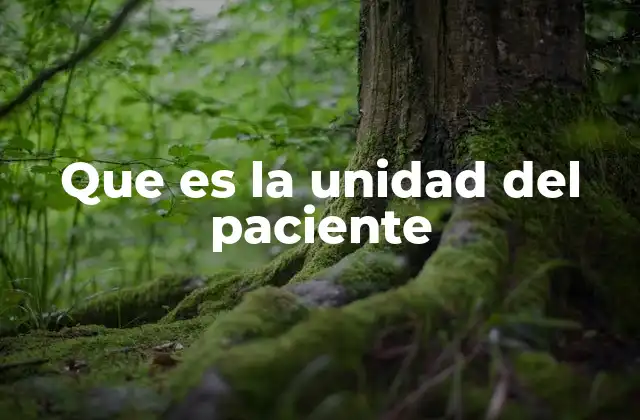 Que es la Unidad Del Paciente