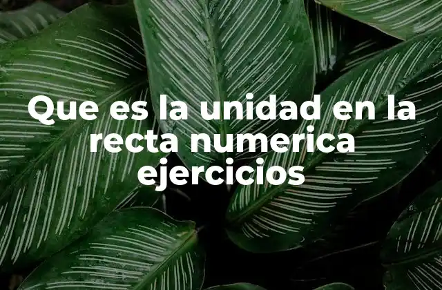 Que es la Unidad en la Recta Numerica Ejercicios