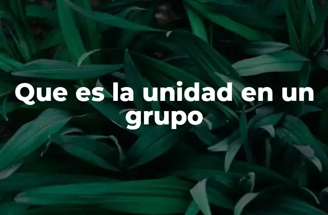 Que es la Unidad en un Grupo