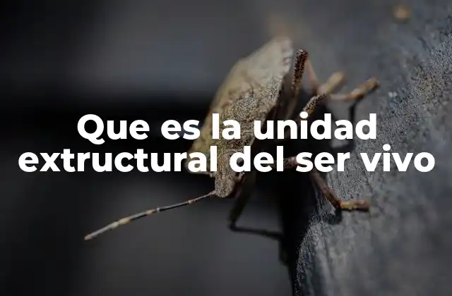 Que es la Unidad Extructural Del Ser Vivo