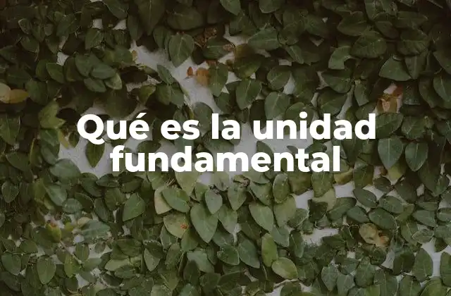 Qué es la Unidad Fundamental