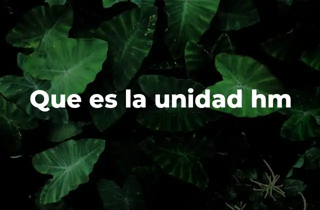 Que es la Unidad Hm