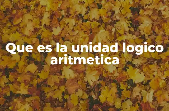 Que es la Unidad Logico Aritmetica