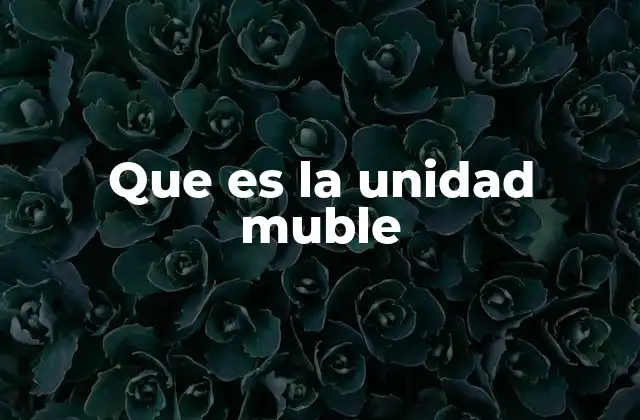 Que es la Unidad Muble