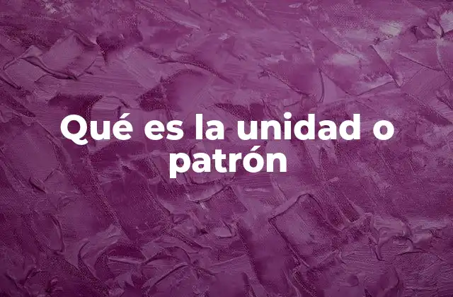 Qué es la Unidad o Patrón