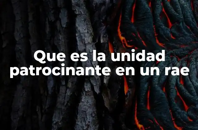 Que es la Unidad Patrocinante en un Rae