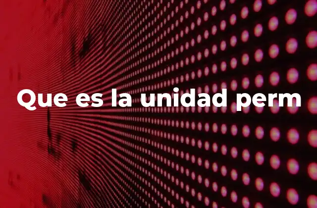 Que es la Unidad Perm