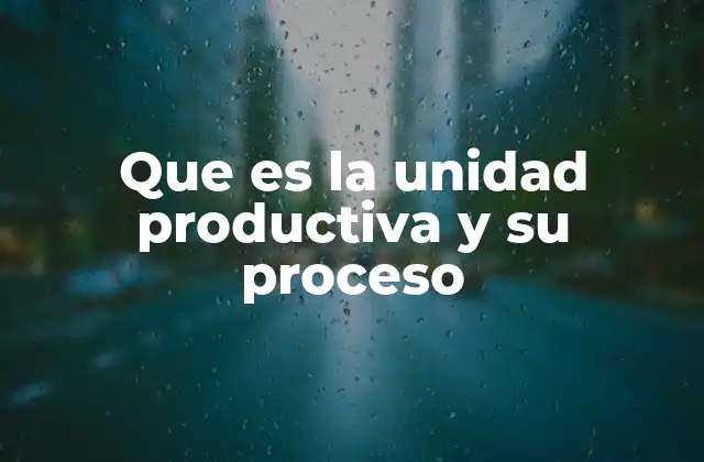 Que es la Unidad Productiva y Su Proceso
