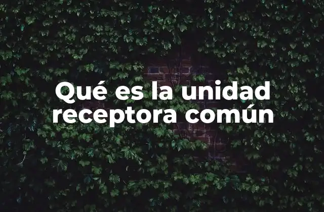Qué es la Unidad Receptora Común