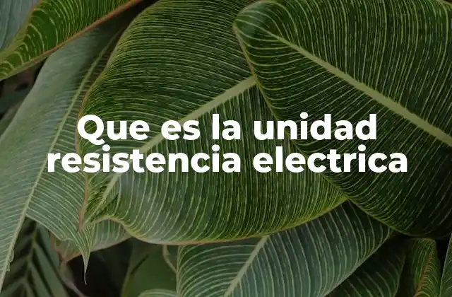 Que es la Unidad Resistencia Electrica