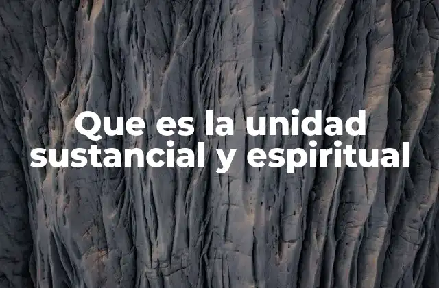 Que es la Unidad Sustancial y Espiritual