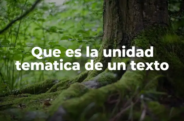 Que es la Unidad Tematica de un Texto