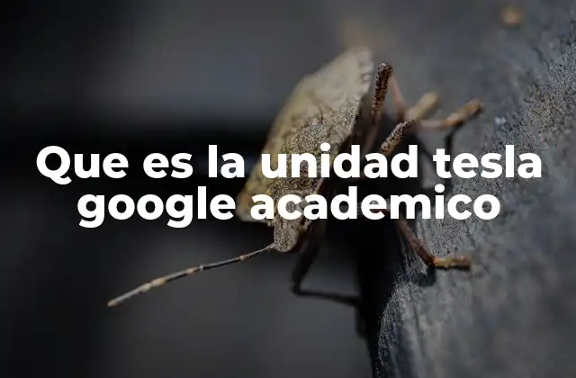 Que es la Unidad Tesla Google Academico
