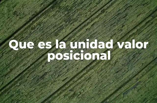 Que es la Unidad Valor Posicional
