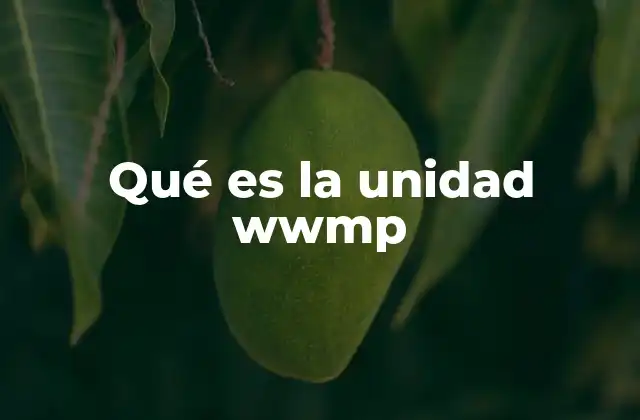 Qué es la Unidad Wwmp