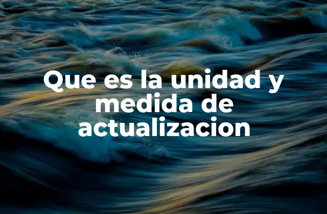 Que es la Unidad y Medida de Actualizacion
