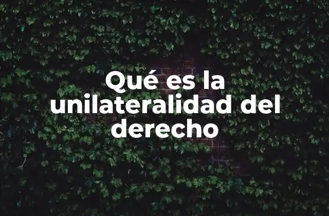 Qué es la Unilateralidad Del Derecho
