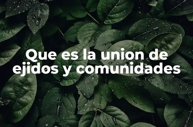 Que es la Union de Ejidos y Comunidades 2 La importancia de la organización colectiva en el campo