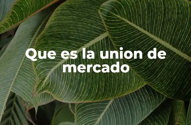 Que es la Union de Mercado