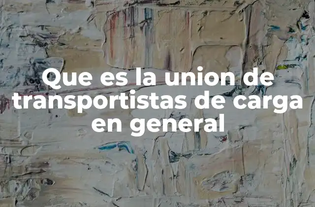 Que es la Union de Transportistas de Carga en General