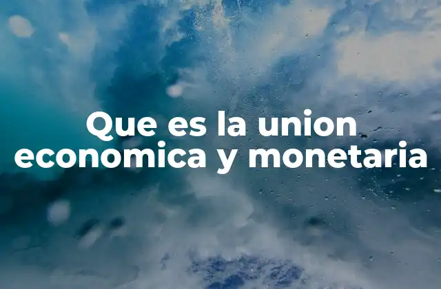 Que es la Union Economica y Monetaria