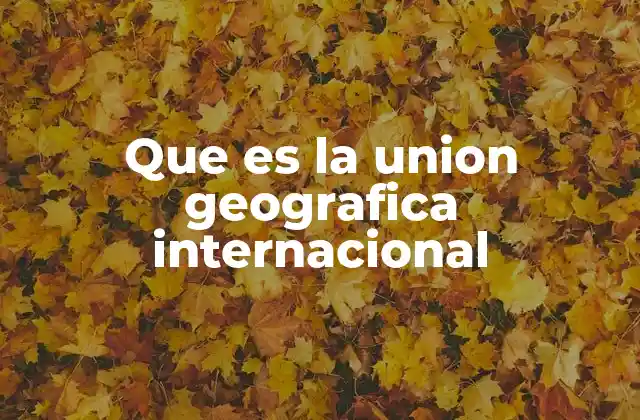 Que es la Union Geografica Internacional